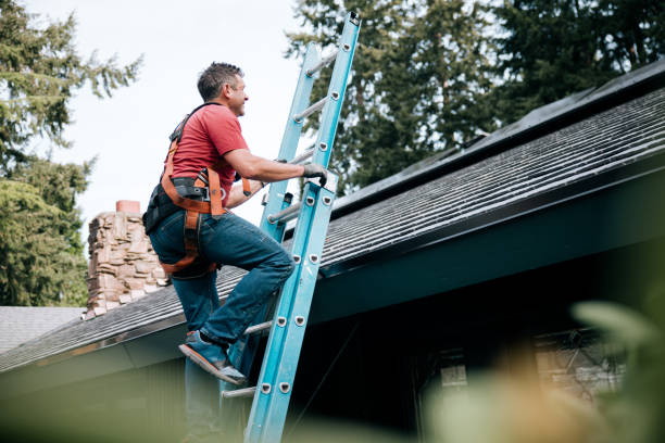Best Roof Maintenance and Cleaning  in Fayetteville, NC